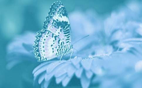 �۲춯ֲ������