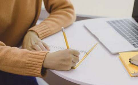 根鸟读后感范文