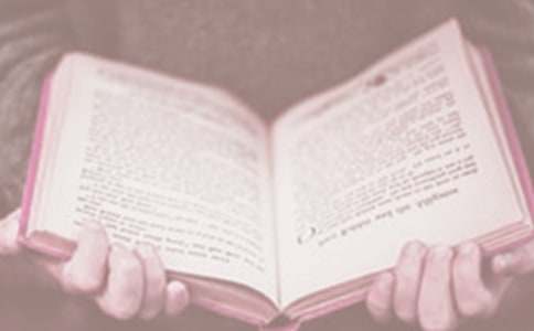 ����������ݽ���