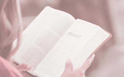 ���������ѧУ��ܽ�