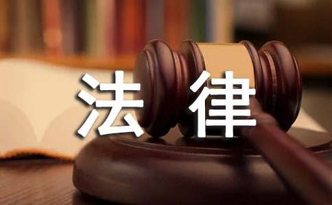 法律专业实践报告