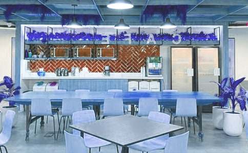 ӦƸ����������ҽ���