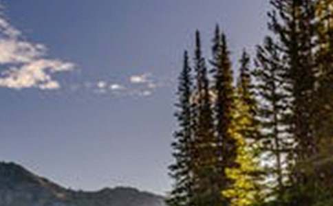 校门口的风景作文800字