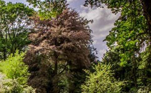 ��ѡ��ɽ�ķ羰����300��4ƪ