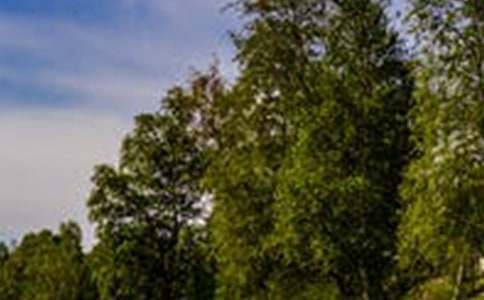 ��Ϥ�ĵط�Ҳ�з羰����800��