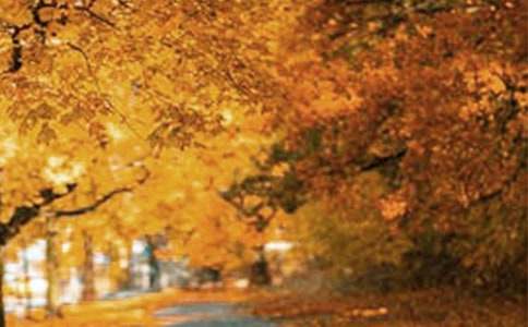 �����ķ羰������500��