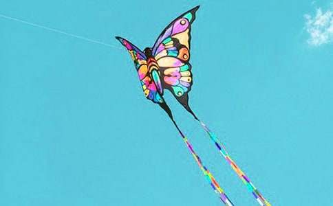 �ŷ���350��Сѧ����