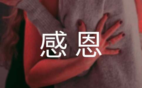 感恩父母高中作文