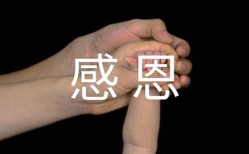 �ж�ĸ�׵Ļ�ܽ�(15ƪ)