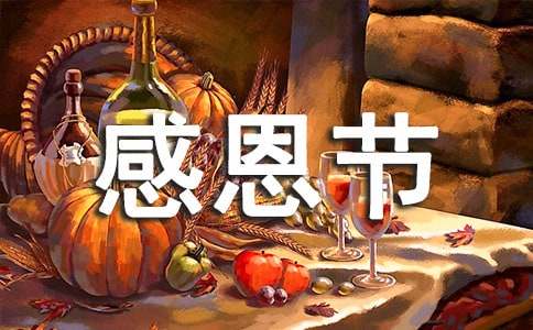 开展感恩节主题活动总结15篇