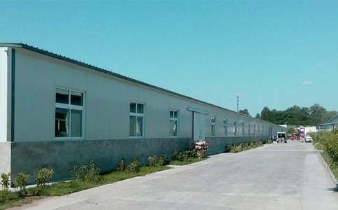 ȥ������ʵϰ���漯��10ƪ