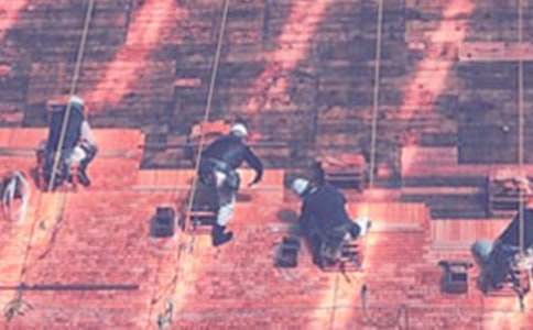 ��������ʵϰ����15ƪ