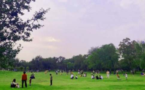 ���ڹ�԰���꼶������ƪ