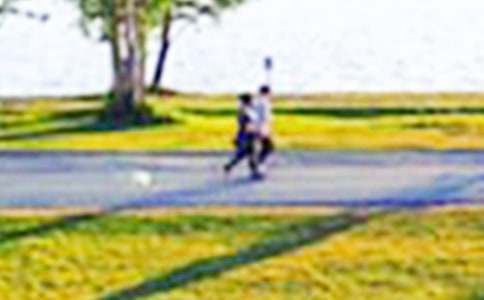 ��԰����ռǷ��ļ���10ƪ