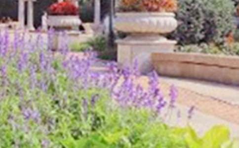 �����š��ι�԰Сѧ������ƪ