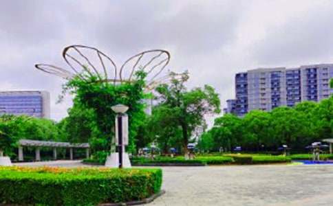 �乫԰����300��