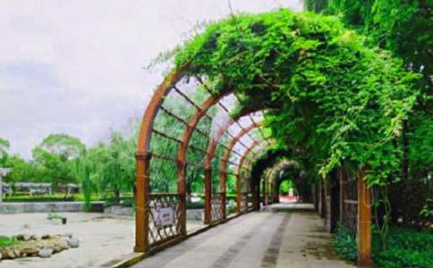 ��԰�����Ӧ��Ԥ��