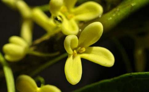 ����ѡ��������600�ֻ���10ƪ