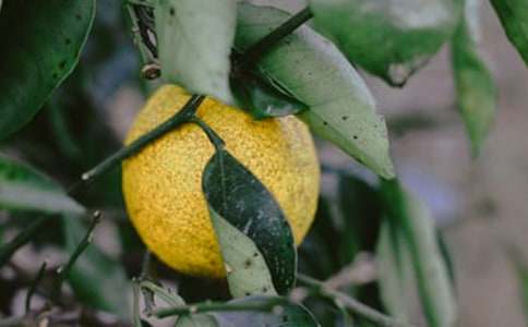 �ҵ���԰��԰���꼶����