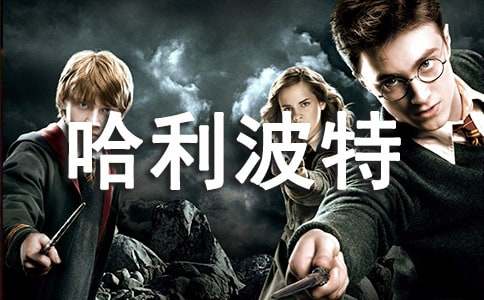 �������عۺ�С�����