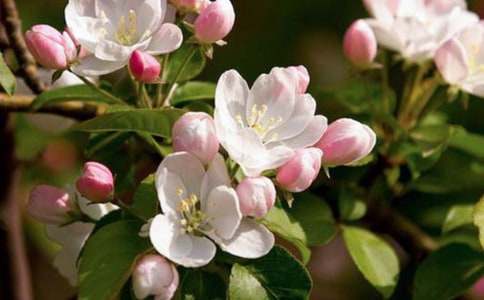 �����㺣�ġ��ۺ��8ƪ