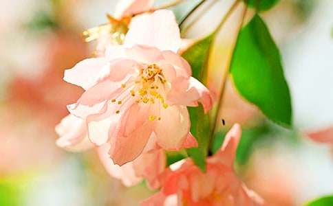 [�ϼ�]���Ļ�����