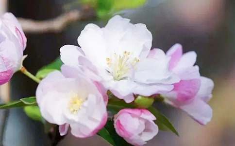 ���Ļ�����(��Ʒ15ƪ)