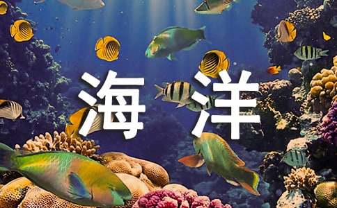 游海洋馆作文500字3篇