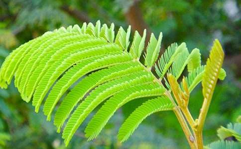 ��ѡ���꼶���߲�������ƪ