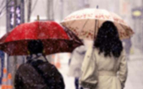 ������ϮӦ��Ԥ��