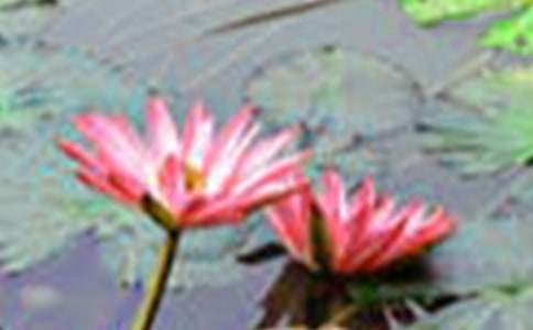 �ɻ����꼶����15ƪ