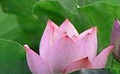 ���������ɻ������ĺϼ�10ƪ