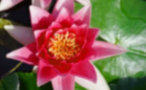 ��д�ɻ����꼶����