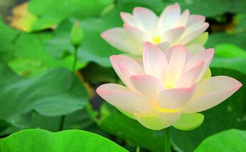 �йغɻ����꼶���Ļ�����ƪ