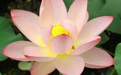 ����Ʒ���ɻ�Сѧ����300����ƪ