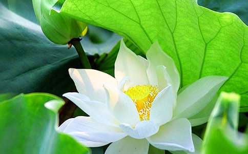 ʵ�õĺɻ����꼶���Ļ���ʮƪ