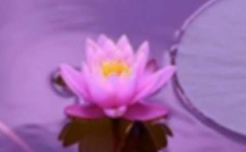 ��г֮��������