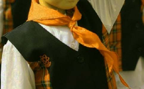 有关红领巾小学作文四篇