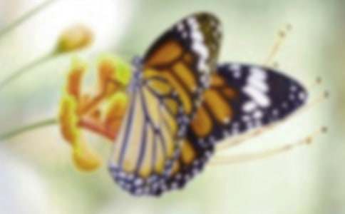 �������ģ��׺��Ρ��Ķ���