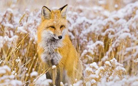 ���˲���ĺ���ְ֡��ĵ����