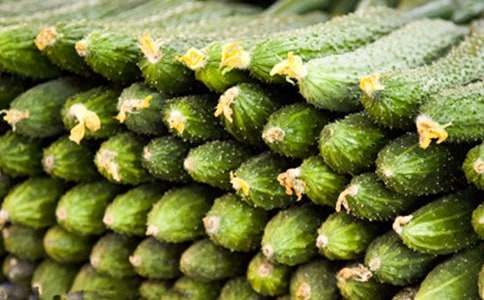 ��ѡ�ƹ�����400��7ƪ