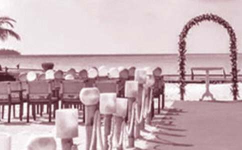 婚礼来宾致辞15篇