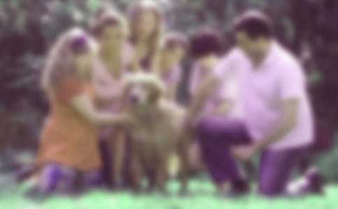 ��ͥ��������800��15ƪ��ʵ�á�