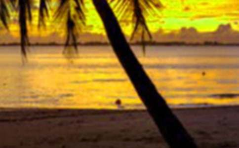 ��ѧ������ʵϰ�ܽ�14ƪ