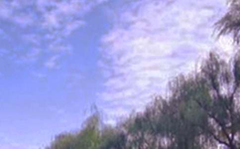 д��ɫ������300��