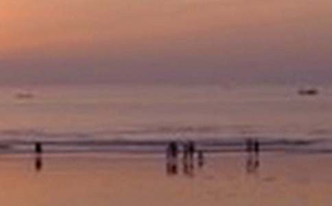 ���꼶��ɫ����