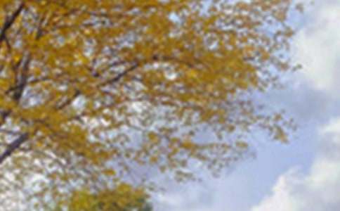 ��ɫ���꼶���ģ�����6ƪ��