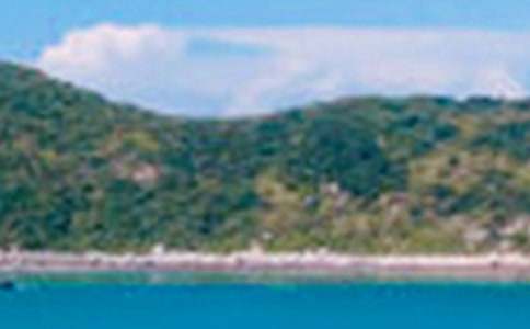 Сѧд��ɫ������3ƪ[����]