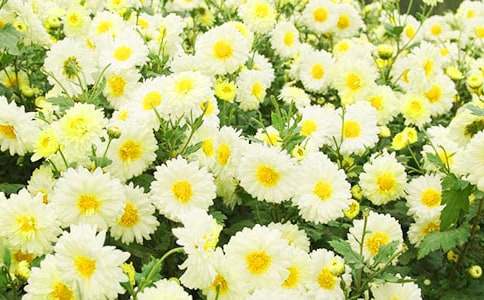 ���ر���д�ջ�������4ƪ