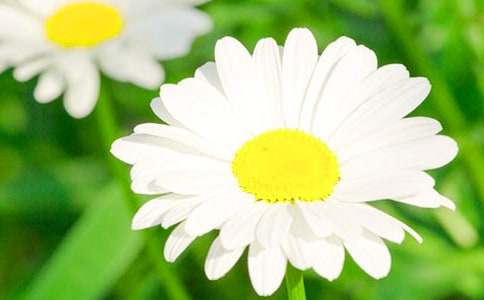 ��ѡ�ջ������ĺϼ�7ƪ